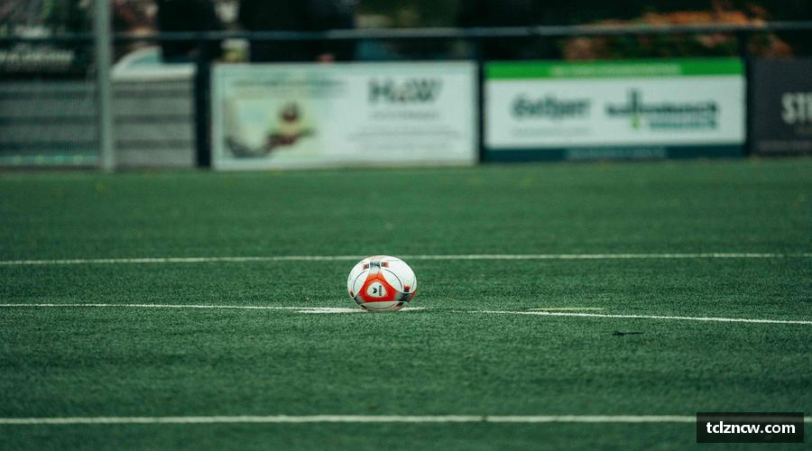 三亿体育有限公司🛒球迷专属，热血助威！🎯球星同款，点燃你的热爱！